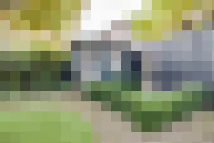 Glazeniershorst 204 Apeldoorn thumbnail 36