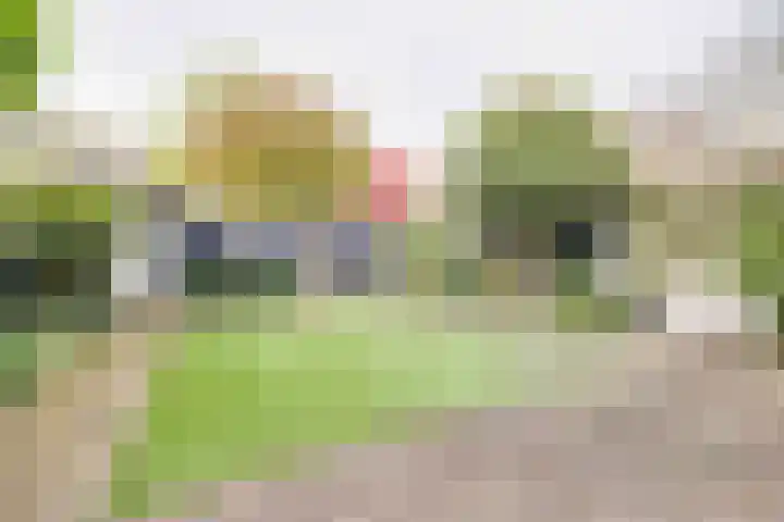 Glazeniershorst 204 Apeldoorn thumbnail 37