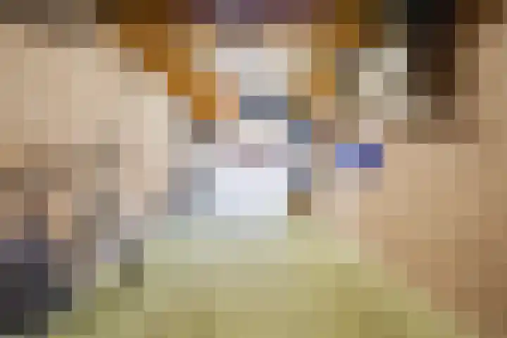 Glazeniershorst 204 Apeldoorn thumbnail 39