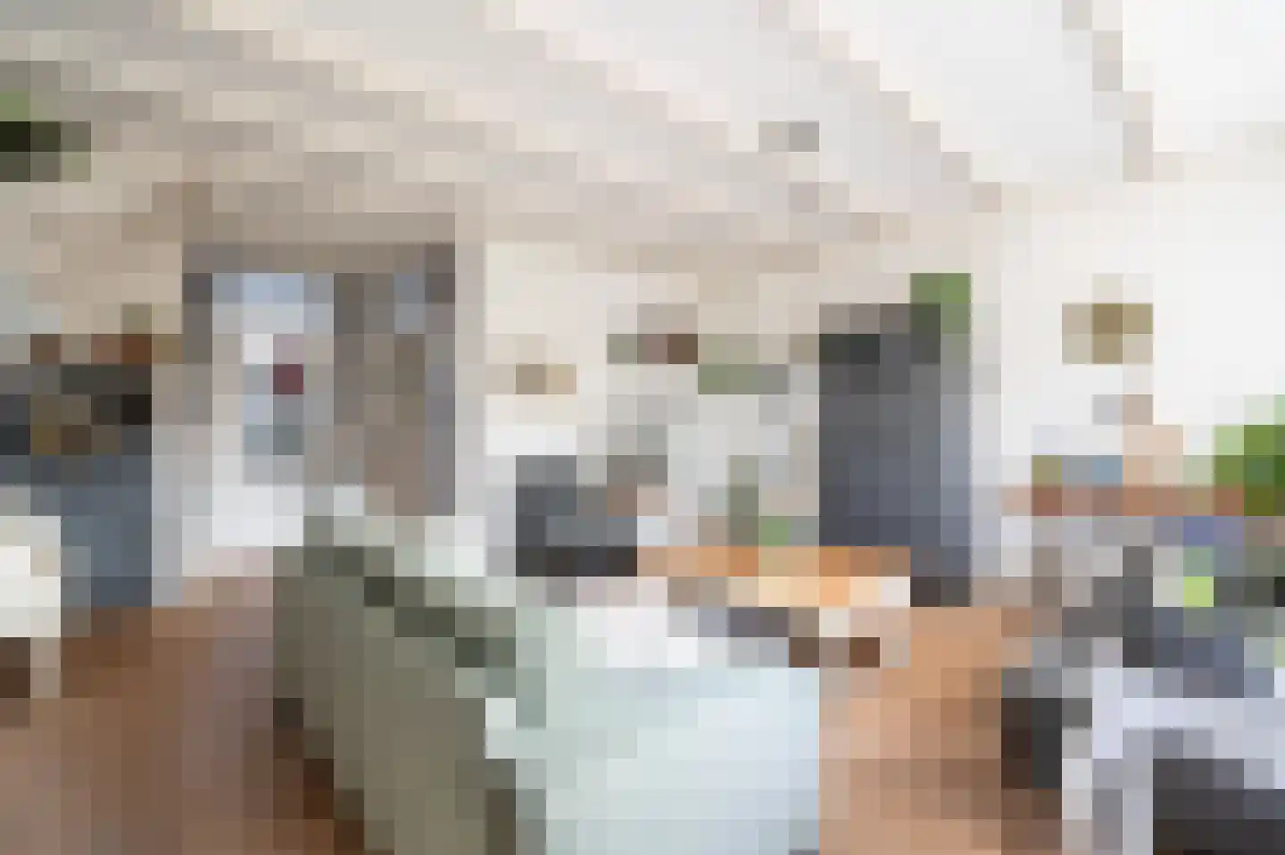 Glazeniershorst 308 Apeldoorn thumbnail 10