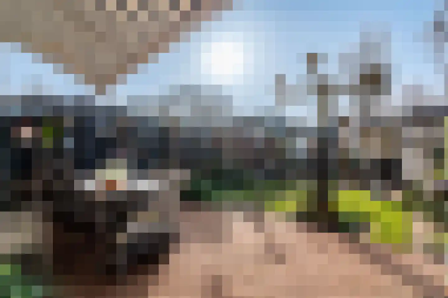 Glazeniershorst 308 Apeldoorn thumbnail 18