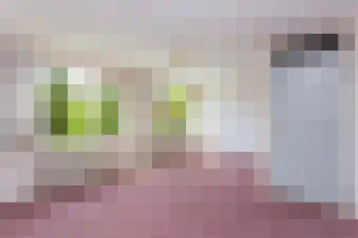 Glazenierslaan 12 De Meern thumbnail 12