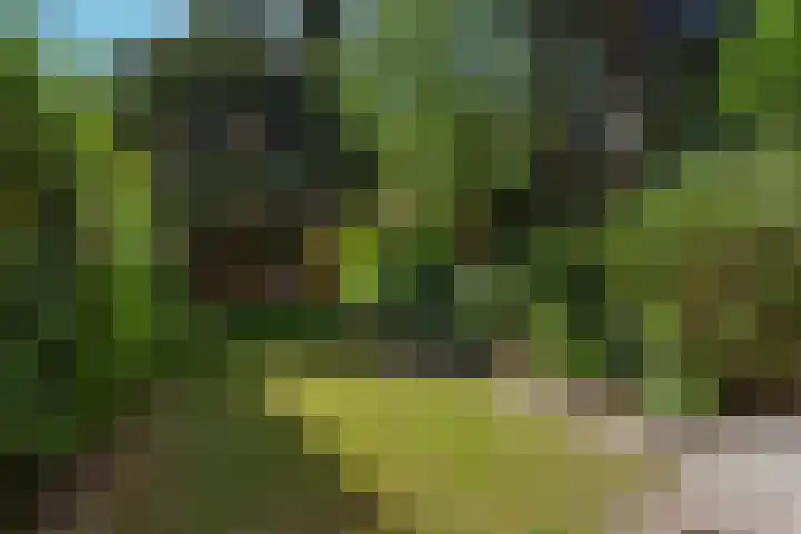 Glazenierslaan 12 De Meern thumbnail 26