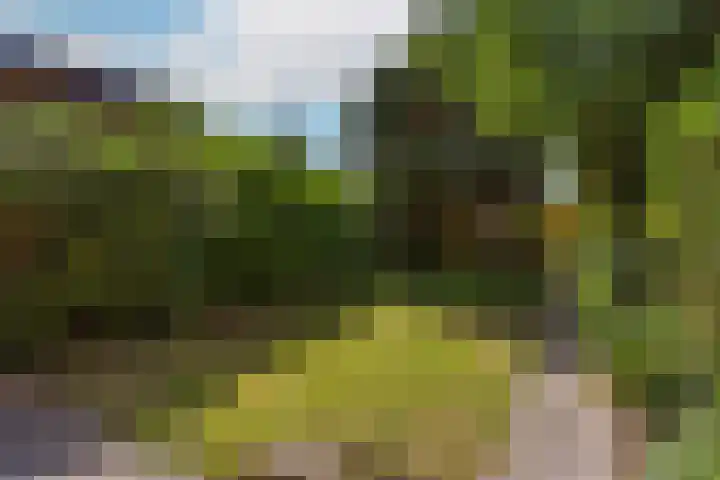 Glazenierslaan 12 De Meern thumbnail 27
