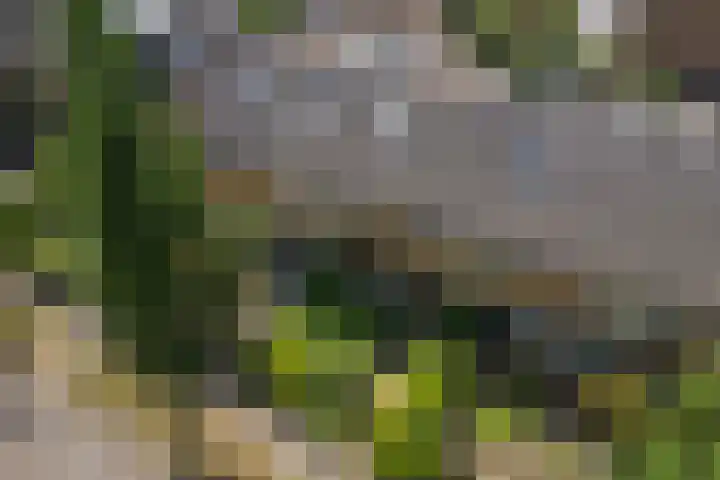 Glazenierslaan 12 De Meern thumbnail 33