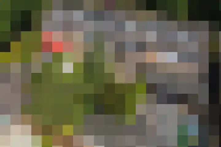 Glazenierslaan 12 De Meern thumbnail 34