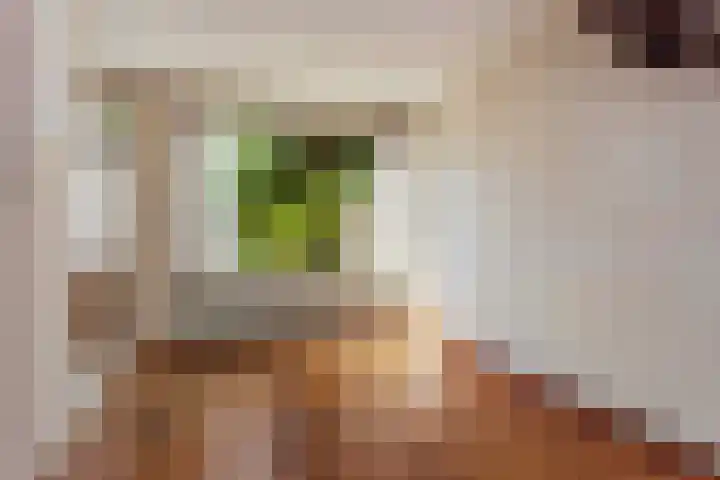 Glazenierslaan 12 De Meern thumbnail 8