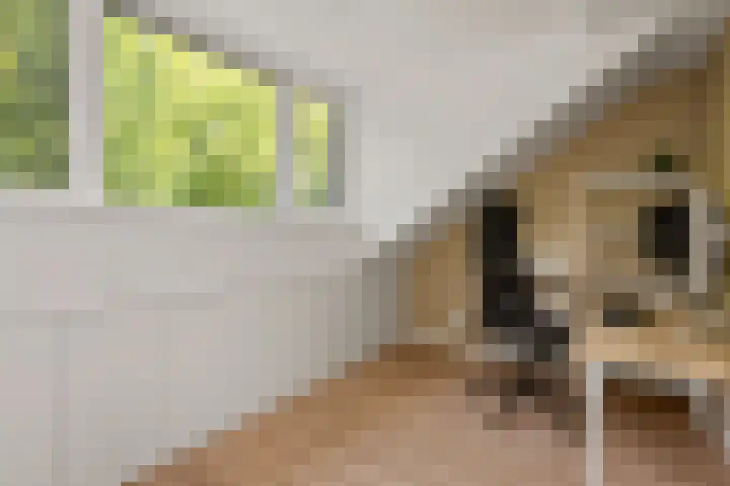 Glazenierslaan 8 De Meern thumbnail 23