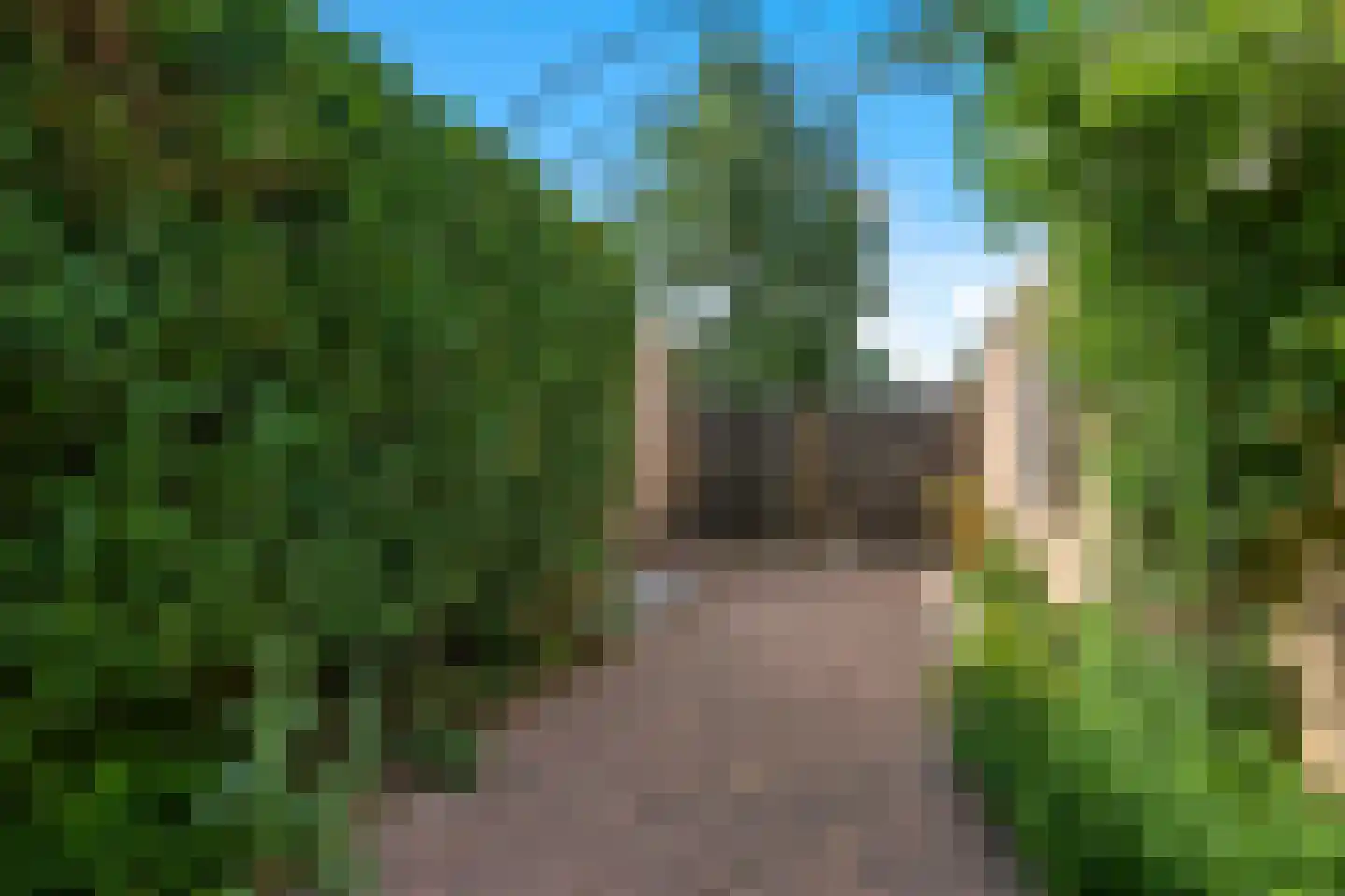 Glazenierslaan 8 De Meern thumbnail 28