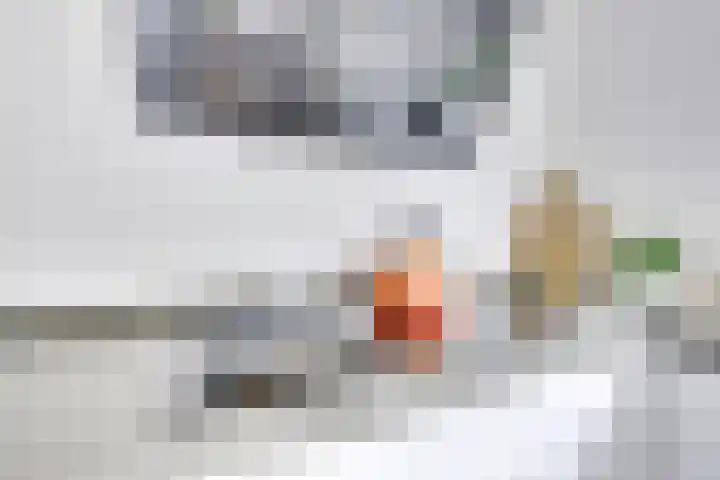 Glazenierslaan 92 De Meern thumbnail 25