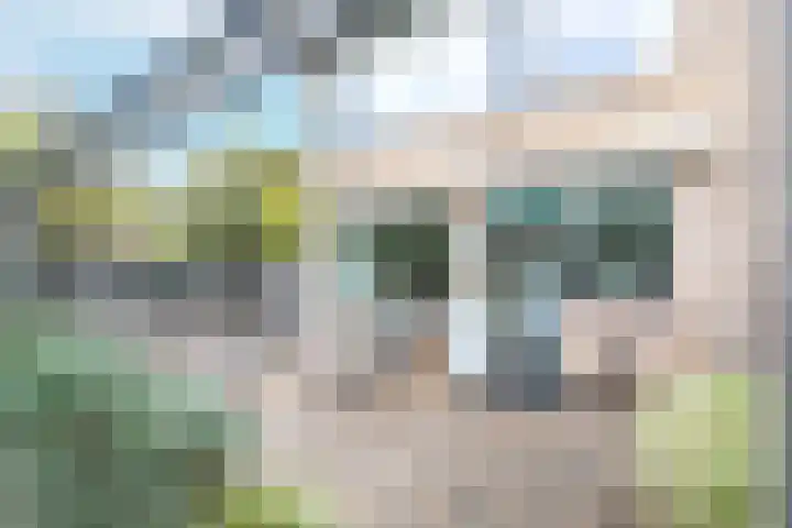Glazenierslaan 92 De Meern thumbnail 31