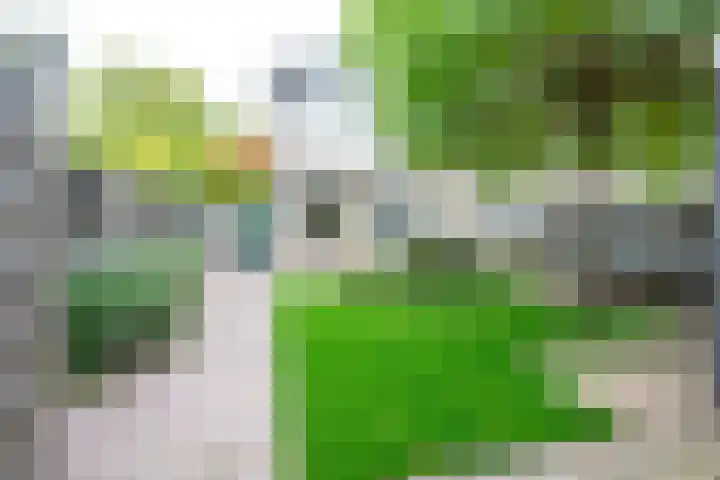 Glazenierslaan 92 De Meern thumbnail 33