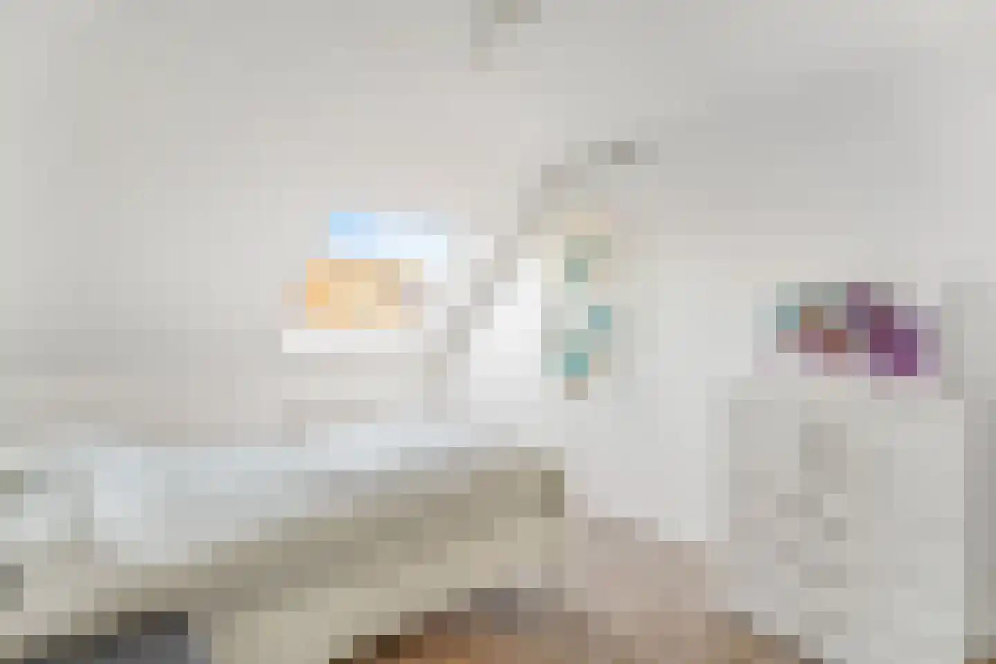 Glazenierstraat 40 Hoogland thumbnail 33