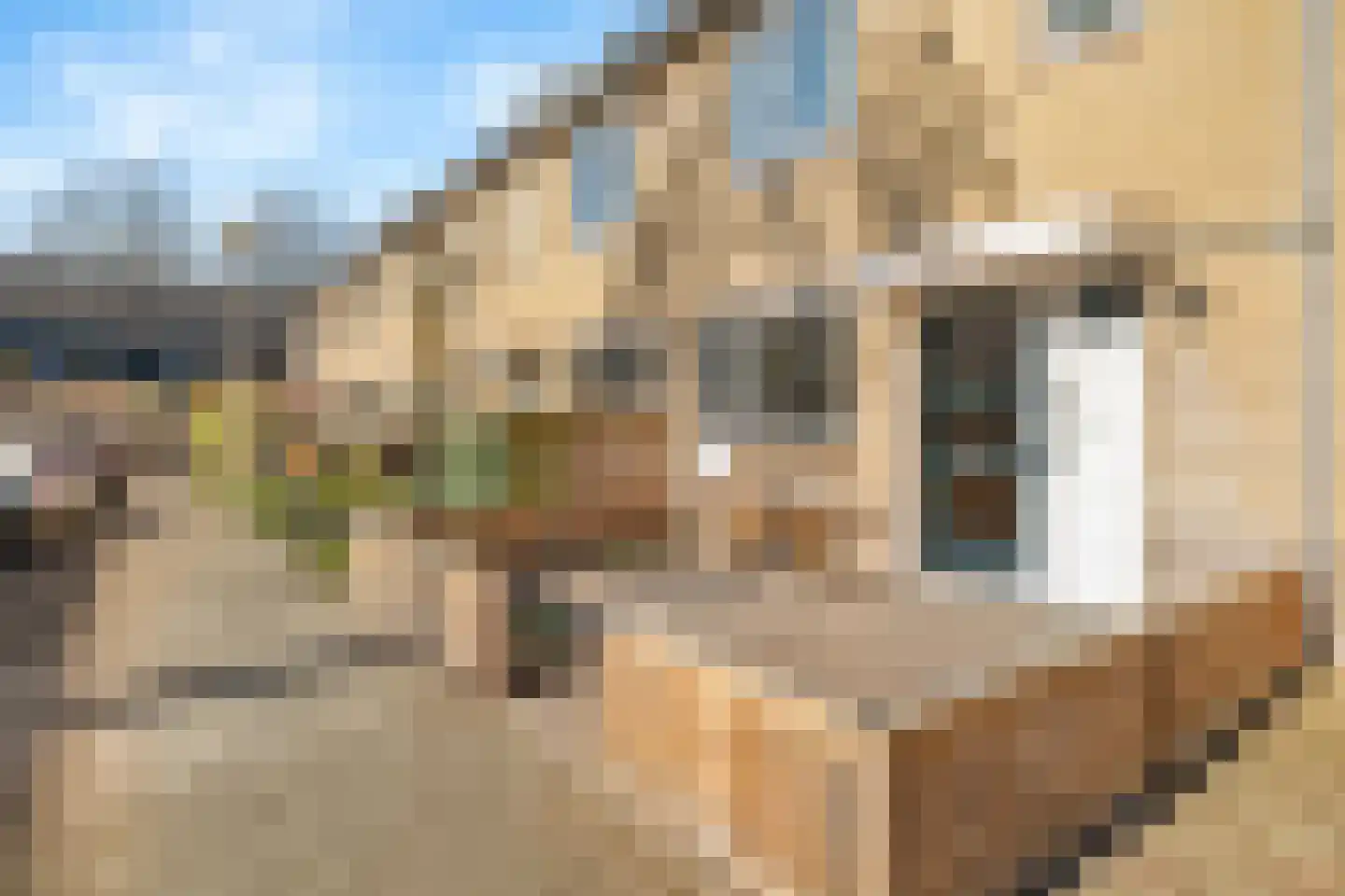 Glazenierstraat 40 Hoogland thumbnail 7