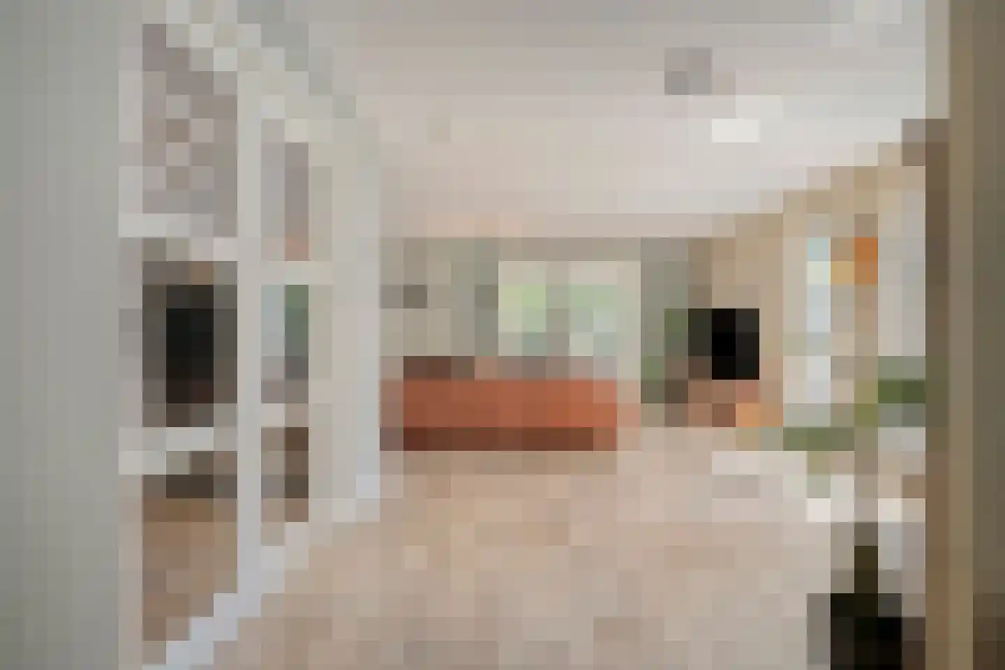 Glazenmaker 107 Epe thumbnail 11