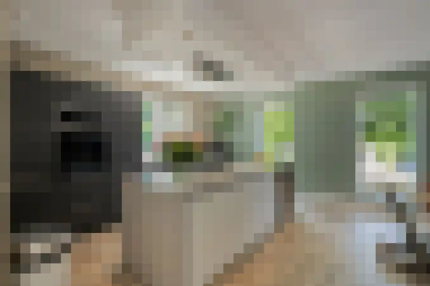 Glazenmaker 107 Epe thumbnail 22
