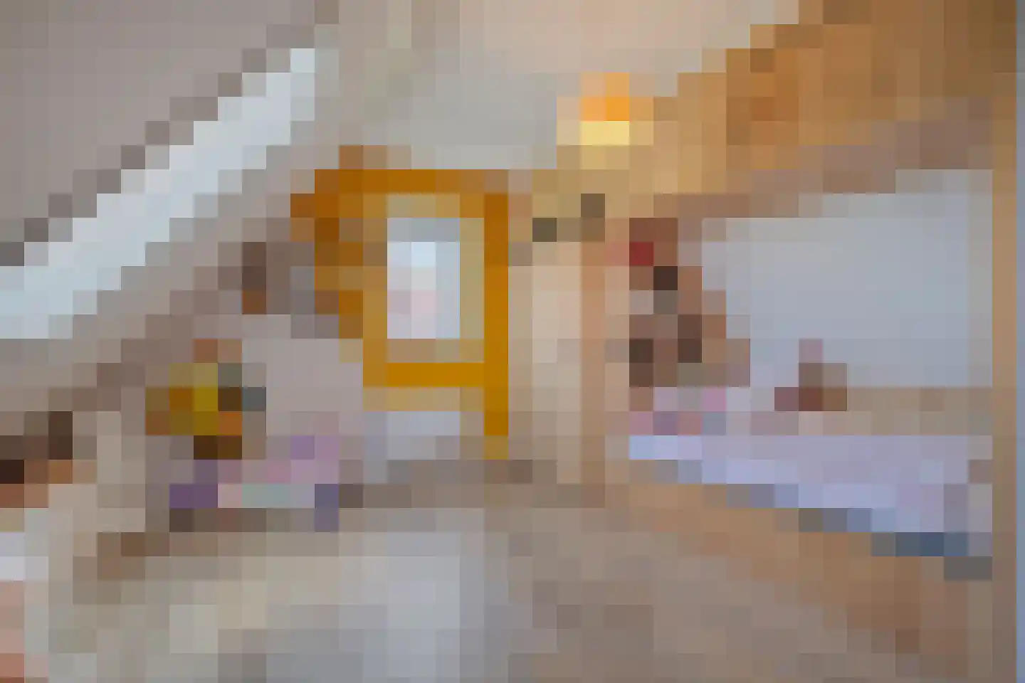 Glazenmaker 107 Epe thumbnail 44