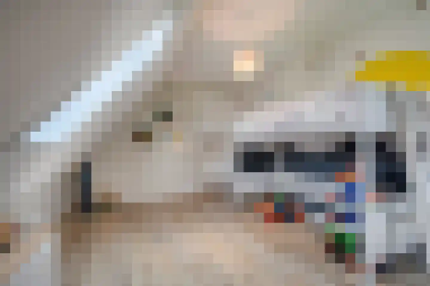 Glazenmaker 107 Epe thumbnail 47