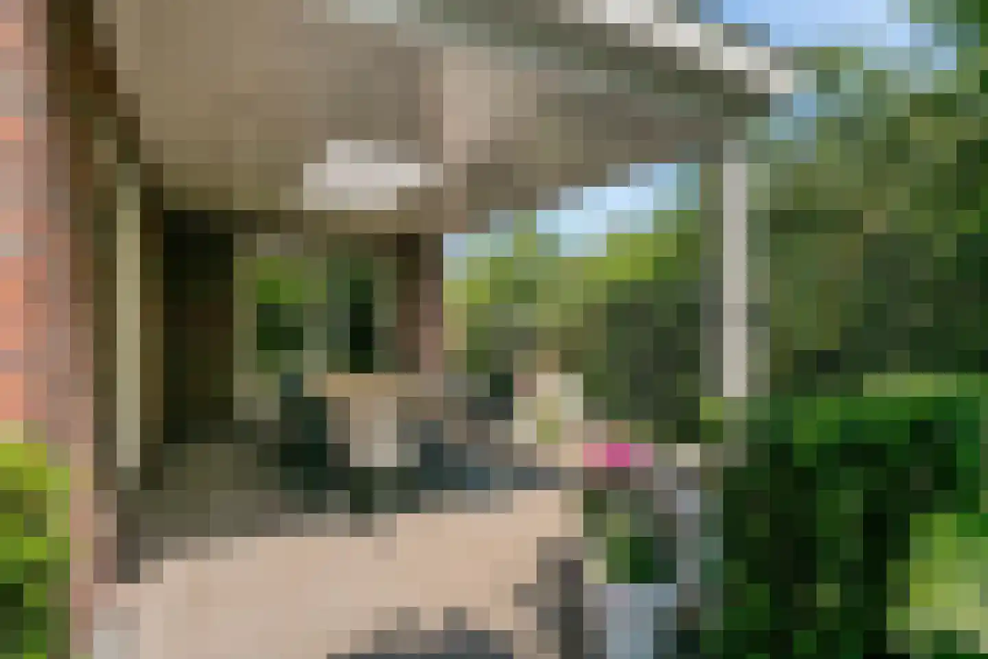 Glazenmaker 107 Epe thumbnail 55
