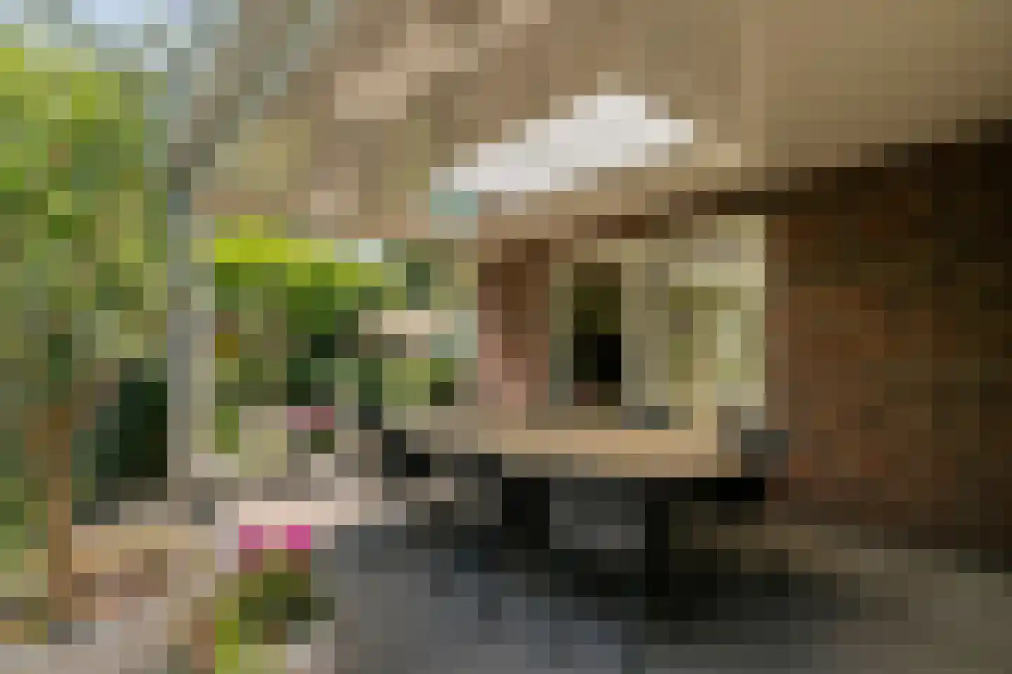 Glazenmaker 107 Epe thumbnail 56