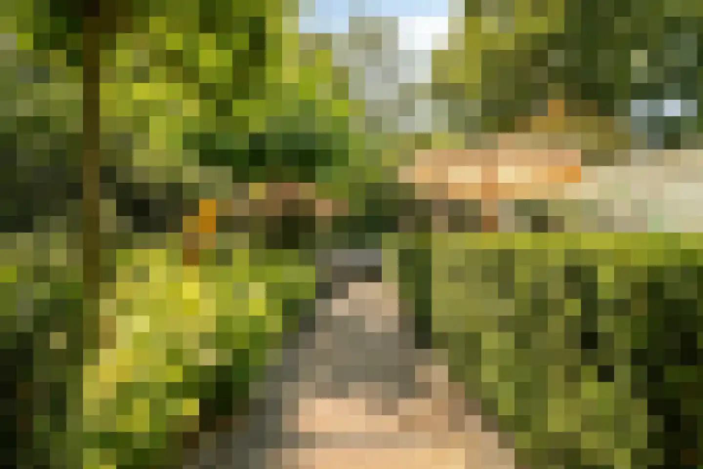 Glazenmaker 107 Epe thumbnail 59