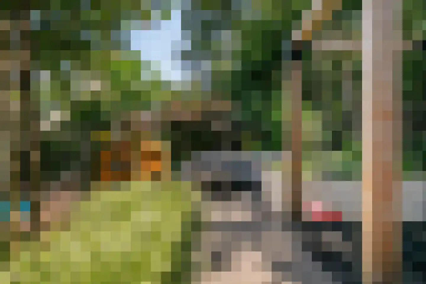 Glazenmaker 107 Epe thumbnail 62