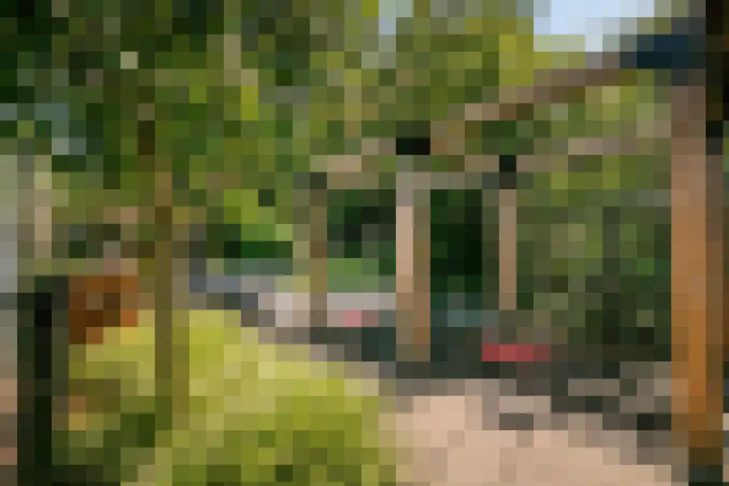 Glazenmaker 107 Epe thumbnail 63