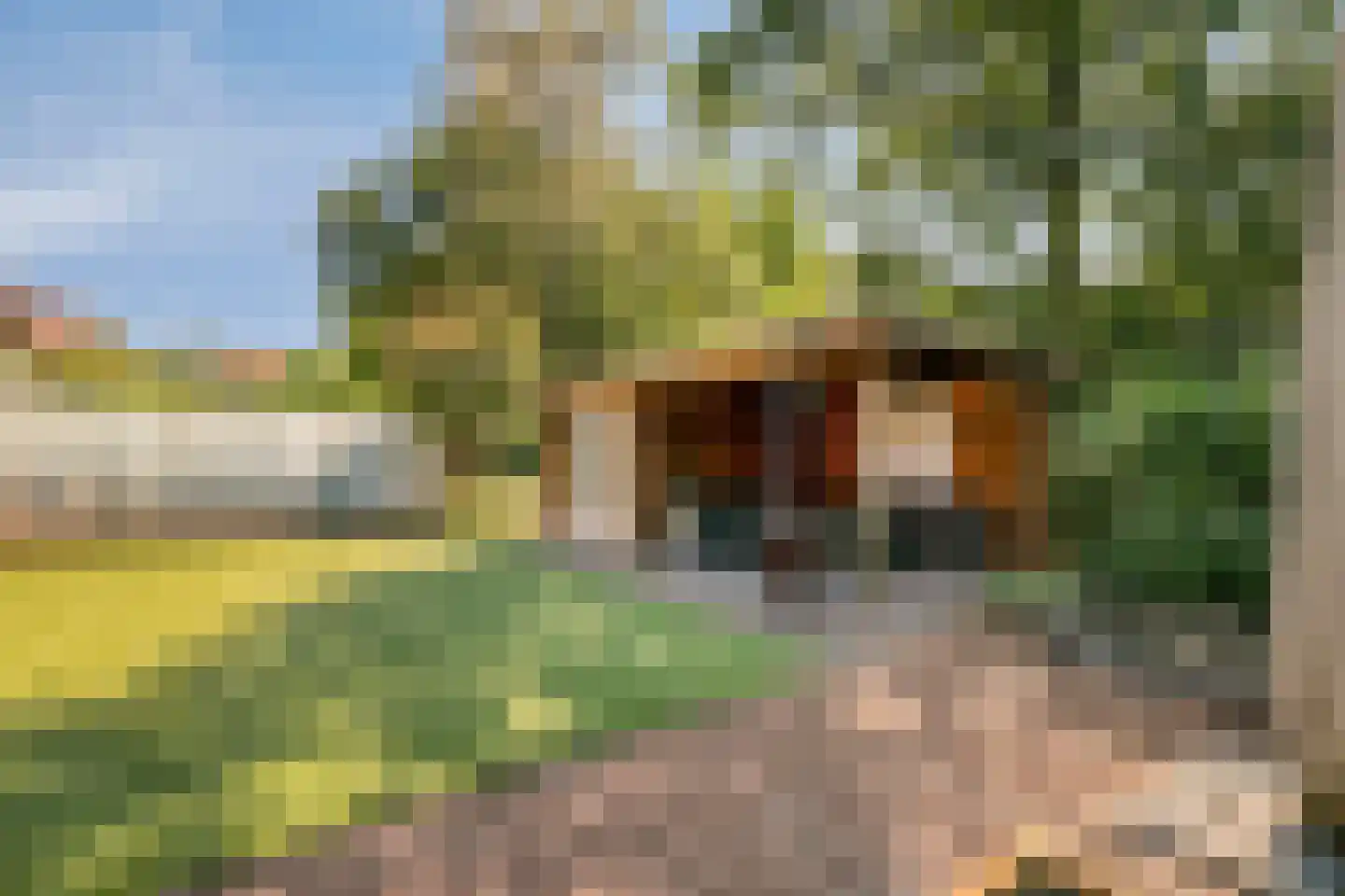 Glazenmaker 107 Epe thumbnail 65