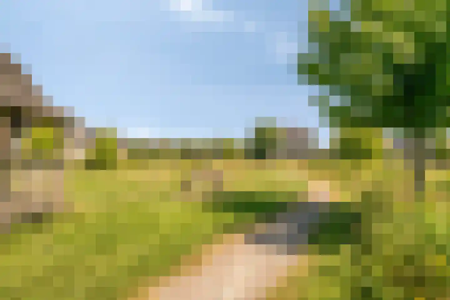 Glazenmaker 107 Epe thumbnail 72