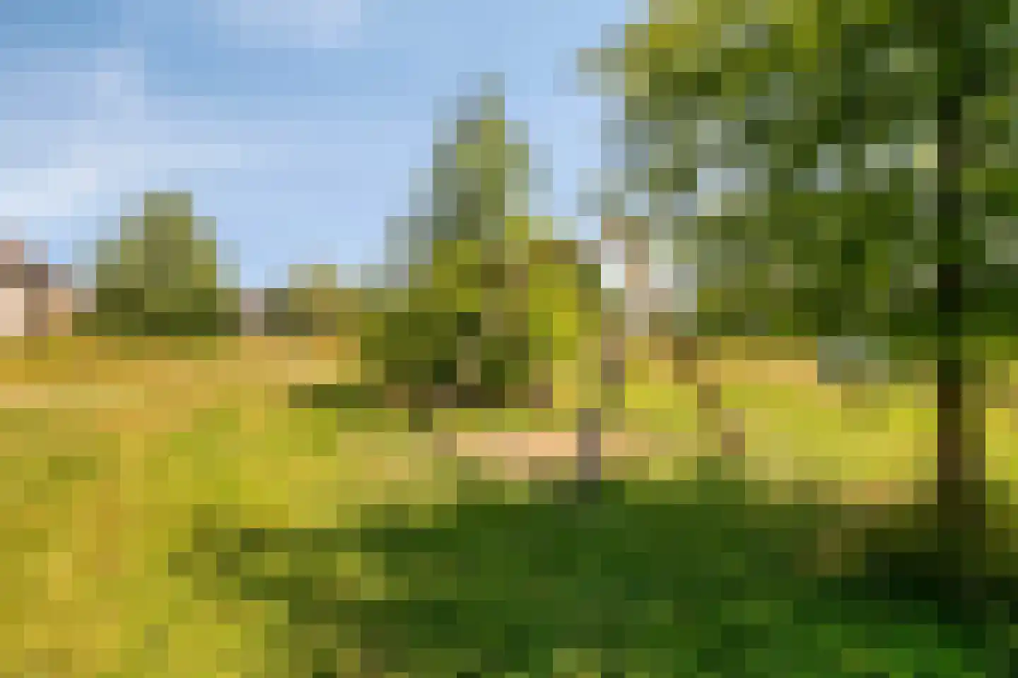 Glazenmaker 107 Epe thumbnail 73