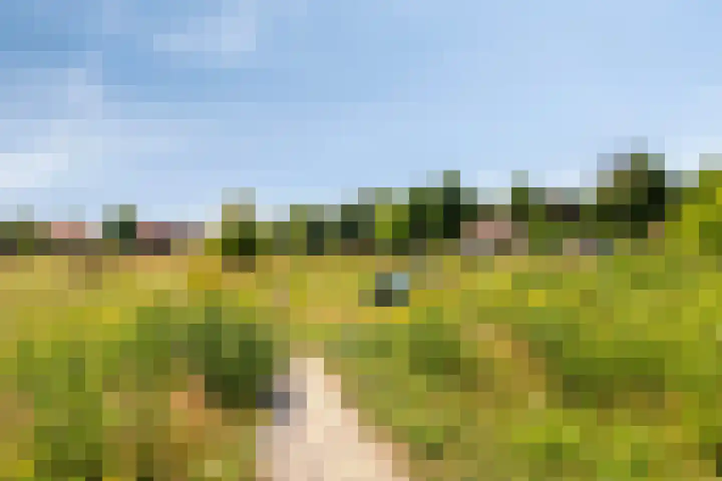Glazenmaker 107 Epe thumbnail 74