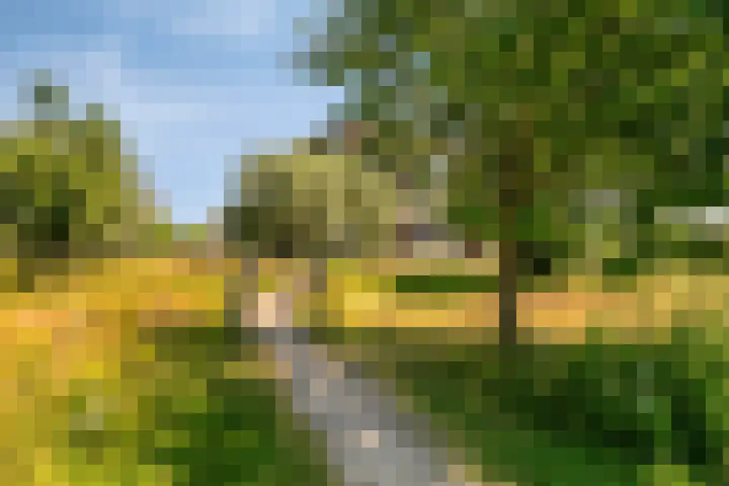 Glazenmaker 107 Epe thumbnail 75