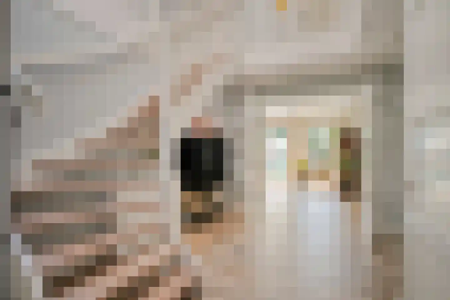 Glazenmaker 107 Epe thumbnail 8