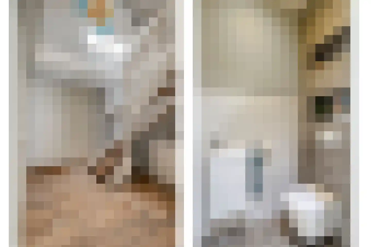 Glazenmaker 107 Epe thumbnail 9