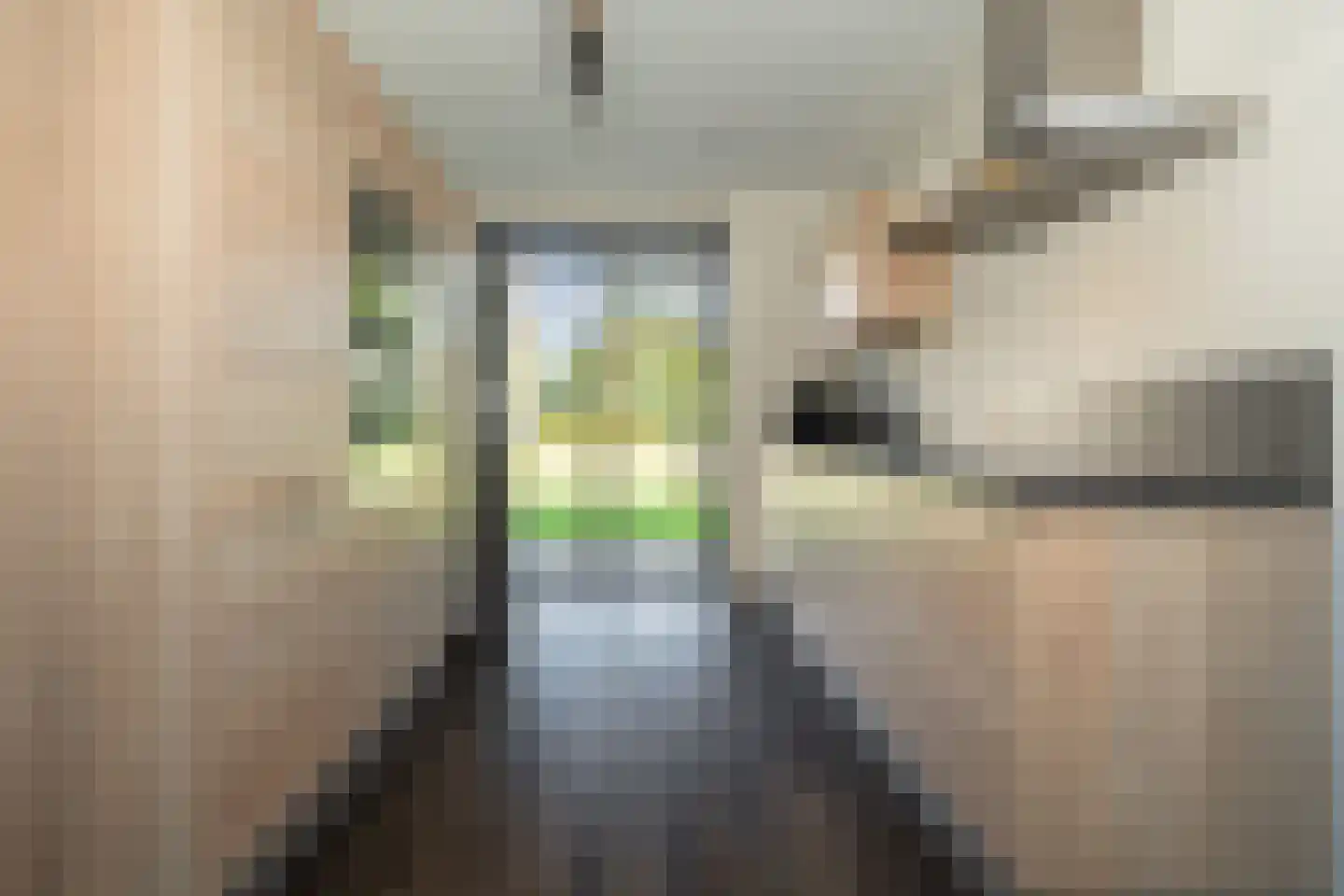 Glazenmaker 108 Epe thumbnail 12