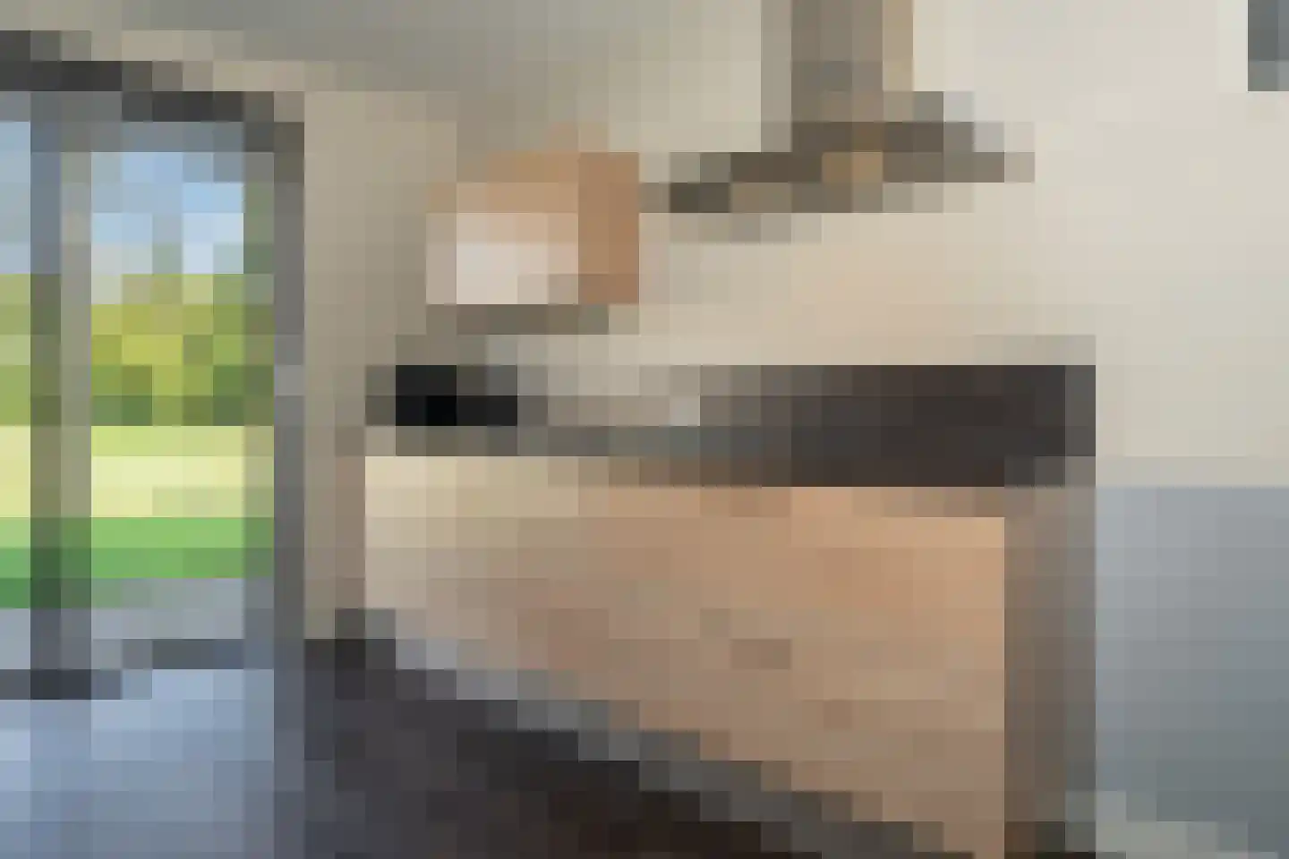Glazenmaker 108 Epe thumbnail 13