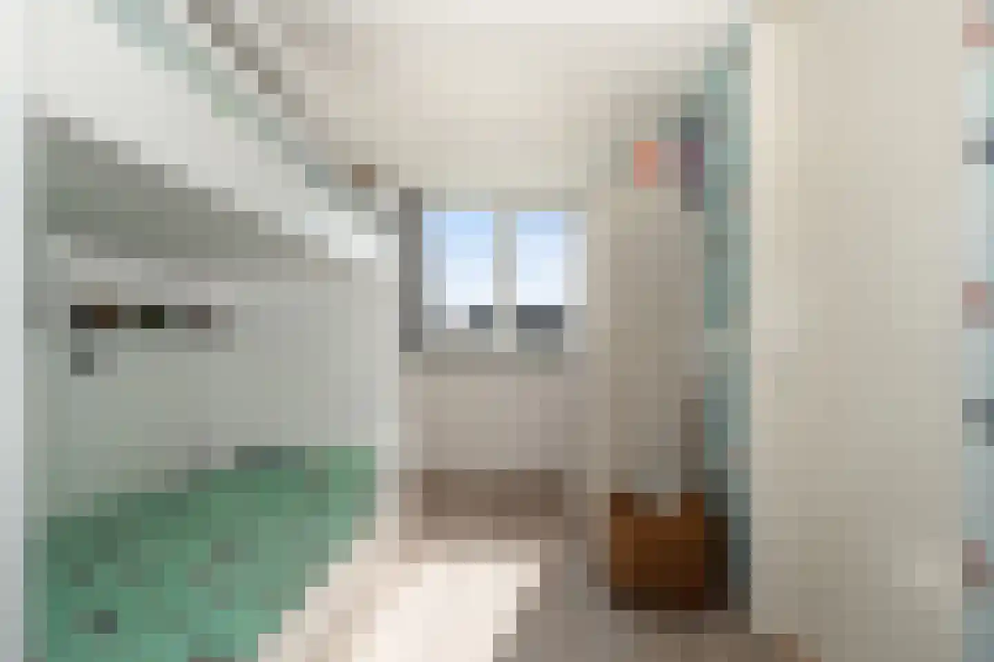 Glazenmaker 108 Epe thumbnail 29
