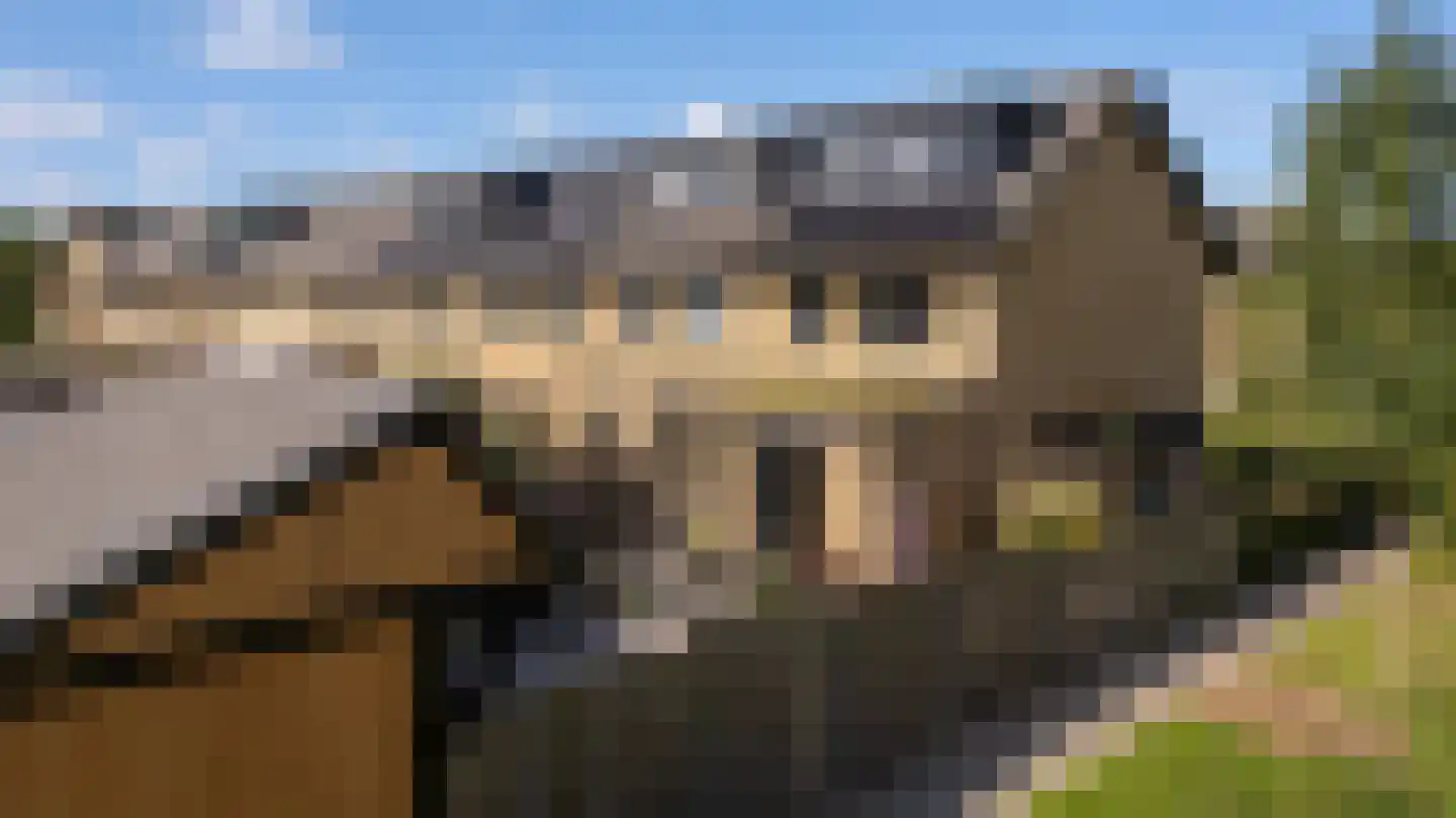 Glazenmaker 108 Epe thumbnail 5