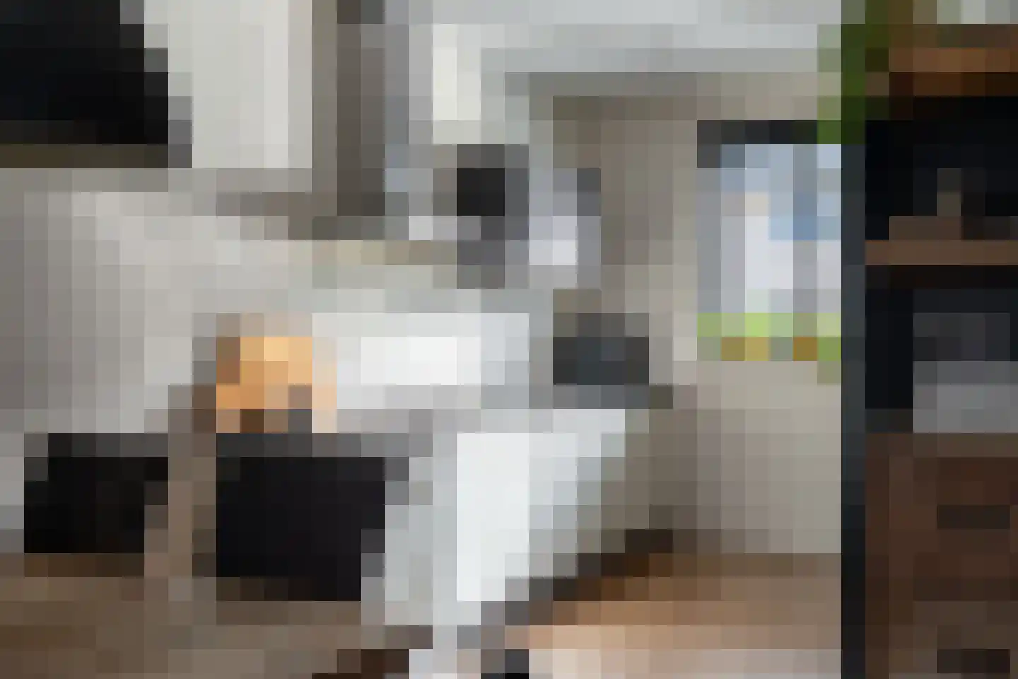 Glazenmaker 122 Epe thumbnail 13