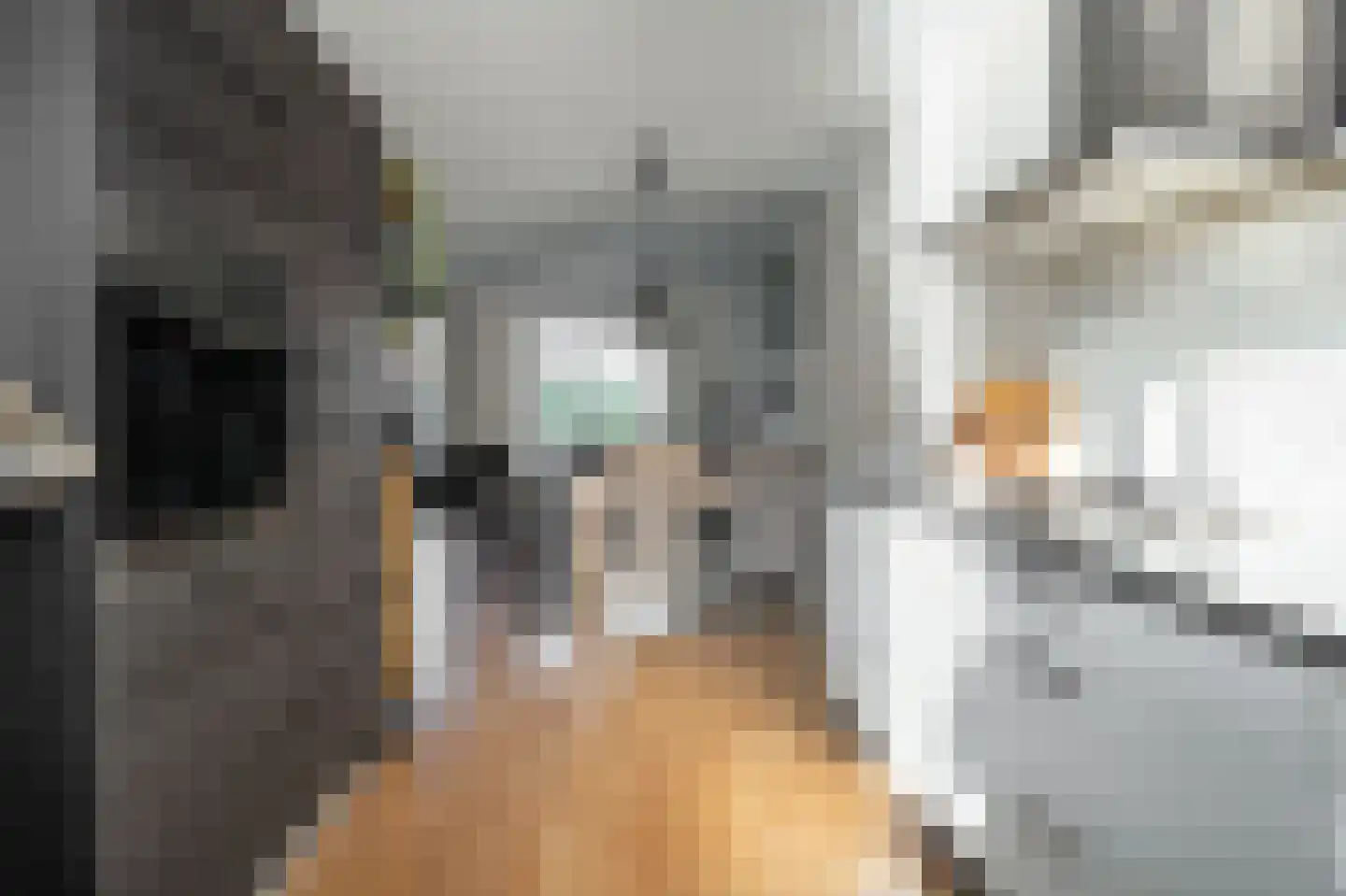 Glazenmaker 122 Epe thumbnail 14