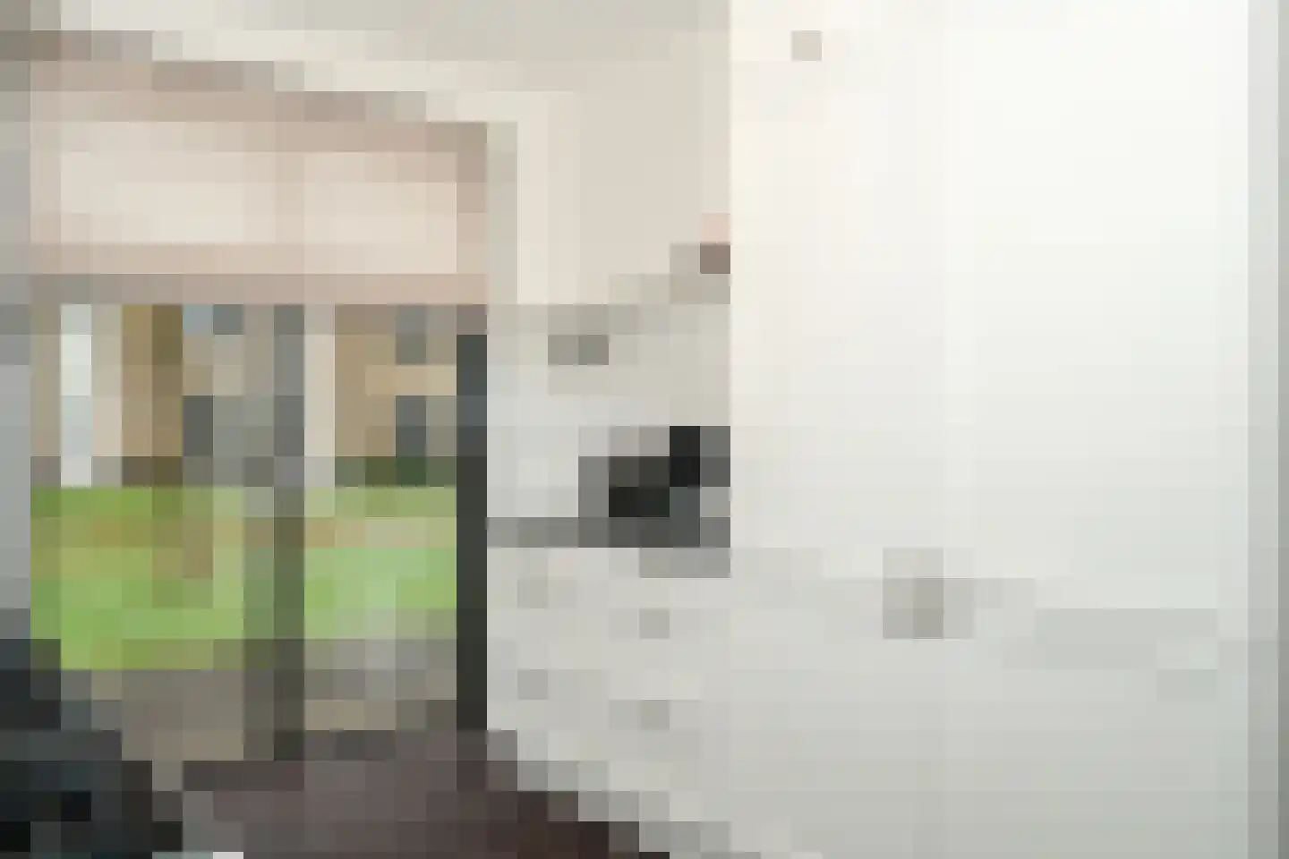 Glazenmaker 128 Epe thumbnail 10
