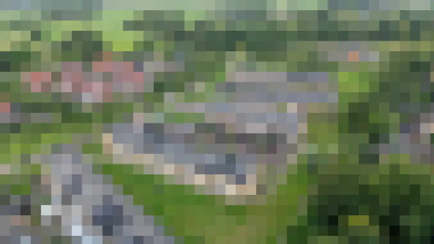 Glazenmaker 128 Epe thumbnail 5