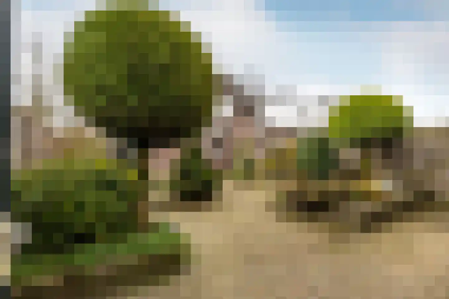 Glazenmaker 2 Oost West en Middelbeers thumbnail 30