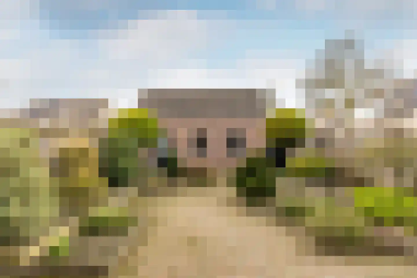 Glazenmaker 2 Oost West en Middelbeers thumbnail 32