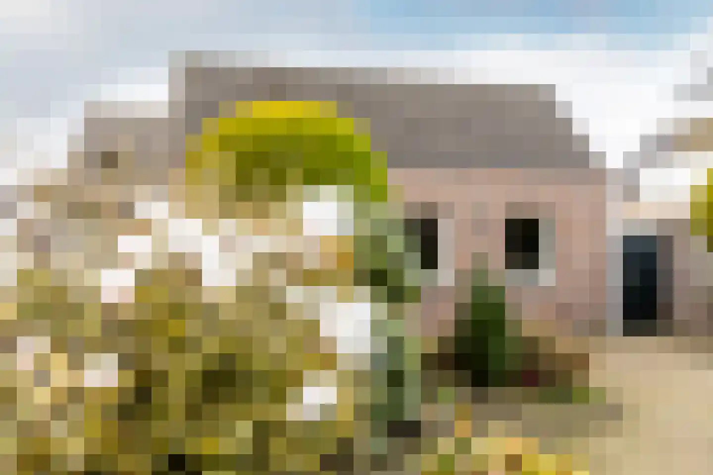 Glazenmaker 2 Oost West en Middelbeers thumbnail 33