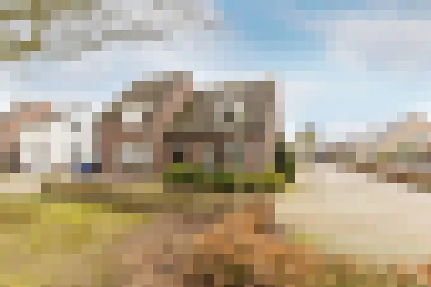 Glazenmaker 2 Oost West en Middelbeers thumbnail 36