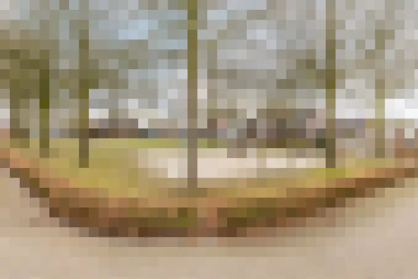 Glazenmaker 2 Oost West en Middelbeers thumbnail 37