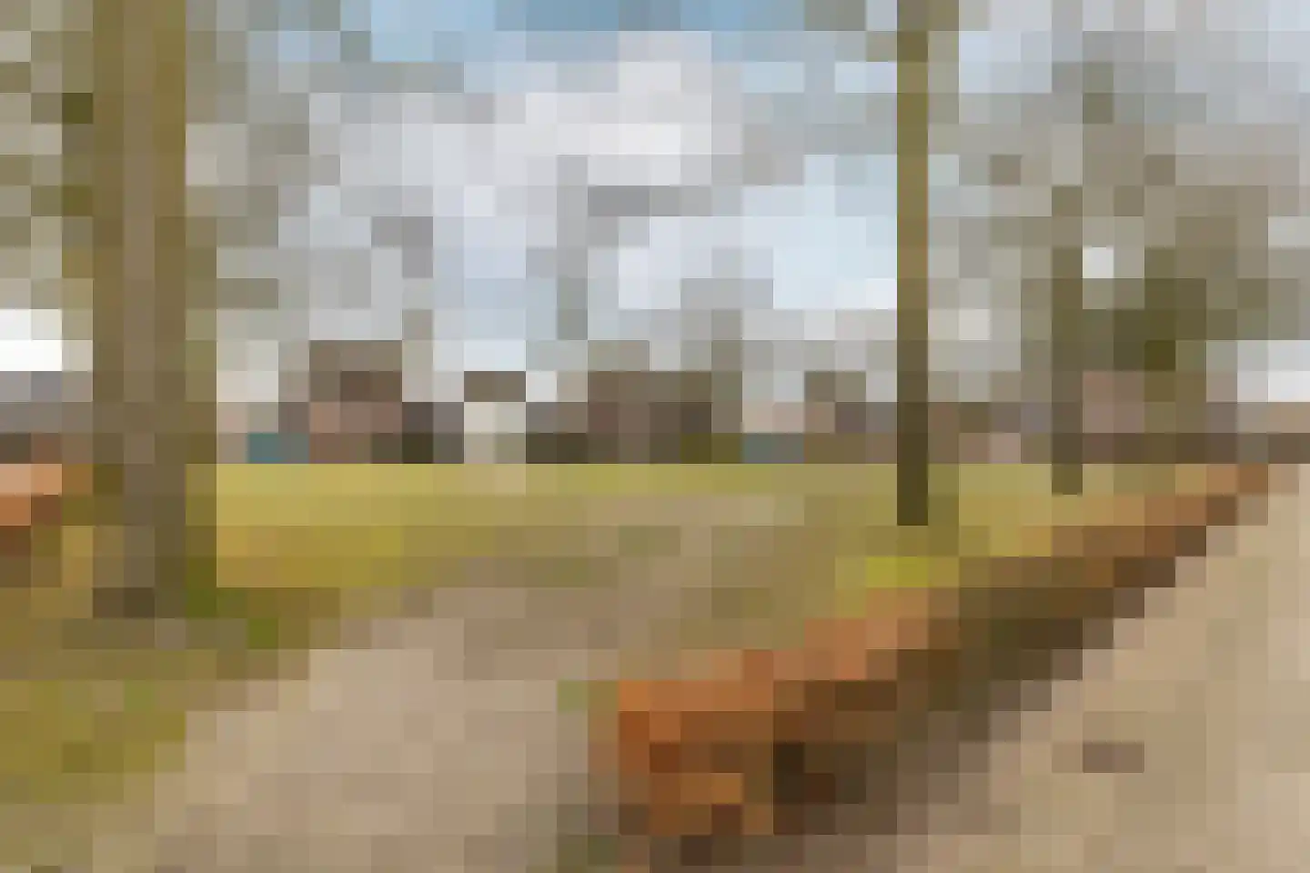 Glazenmaker 2 Oost West en Middelbeers thumbnail 39