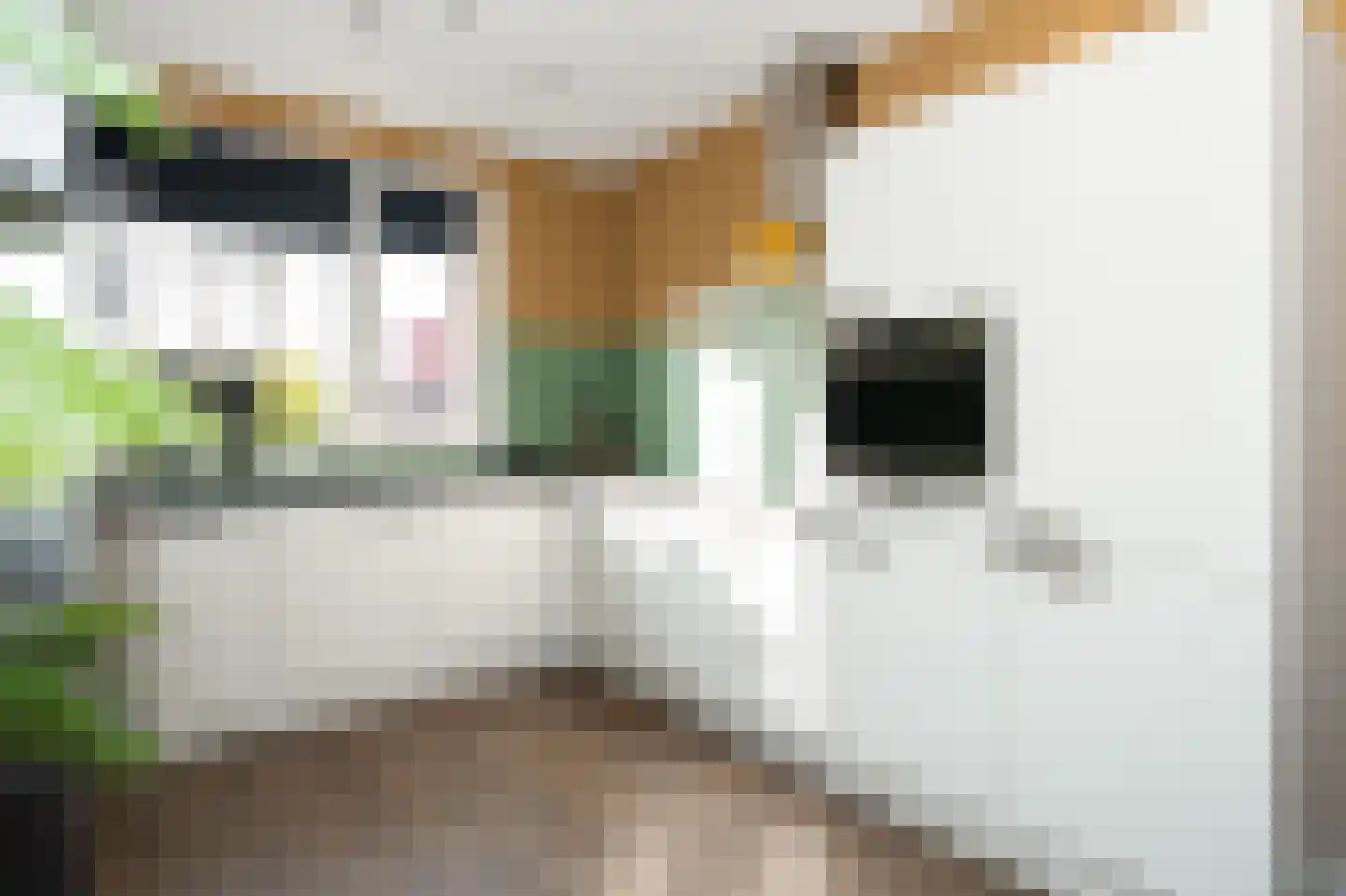 Glazenmaker 4 Epe thumbnail 13