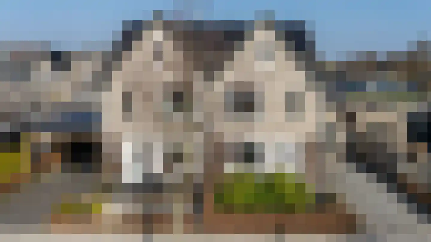 Glazenmaker 4 Epe thumbnail 43